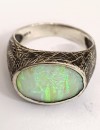 R0196 OPAL